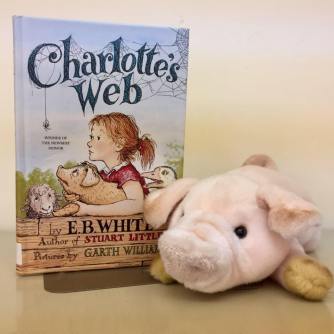 17861829_1852553491661426_3417219480606526472_n